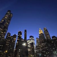 Living Memorial Grove ico
