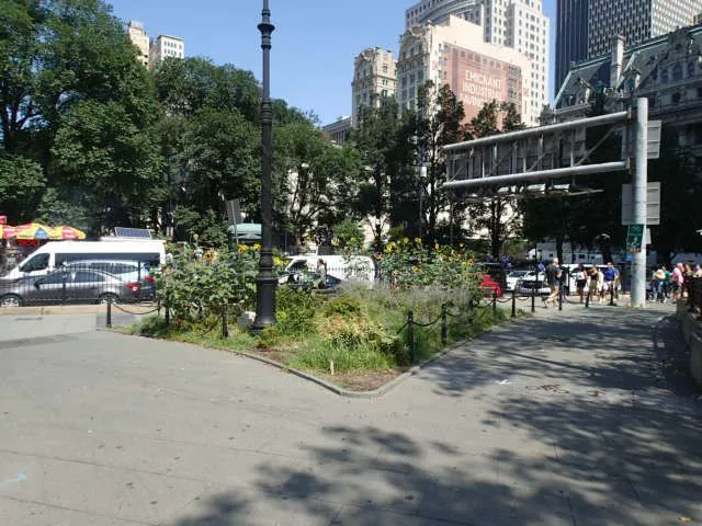 Living Memorial Grove Picture 2