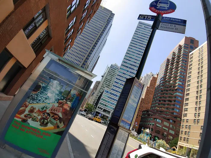 Beekman Street Plaza Picture 2