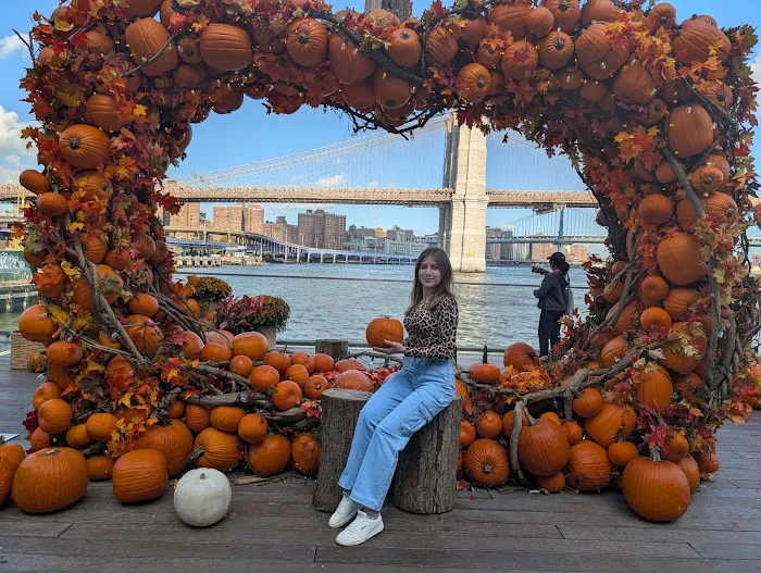 Halloween arc Picture 3