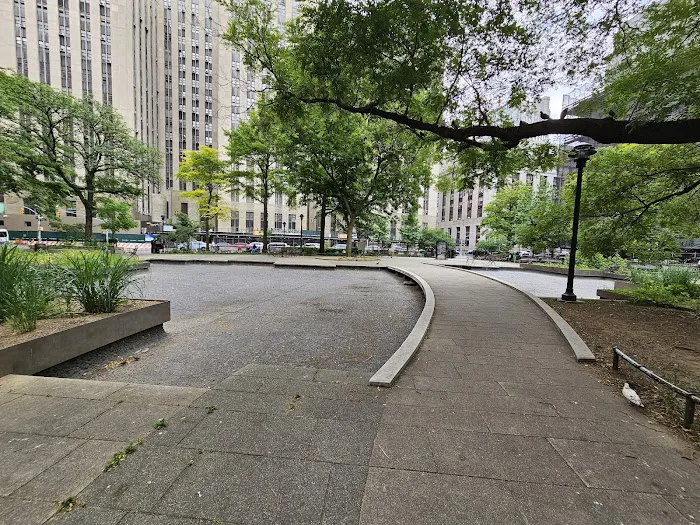 Collect Pond Park Picture 9
