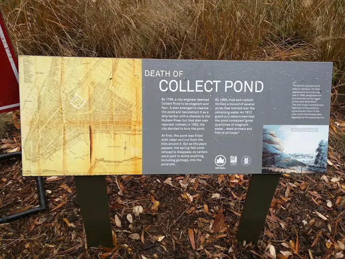 Collect Pond Park Picture 6