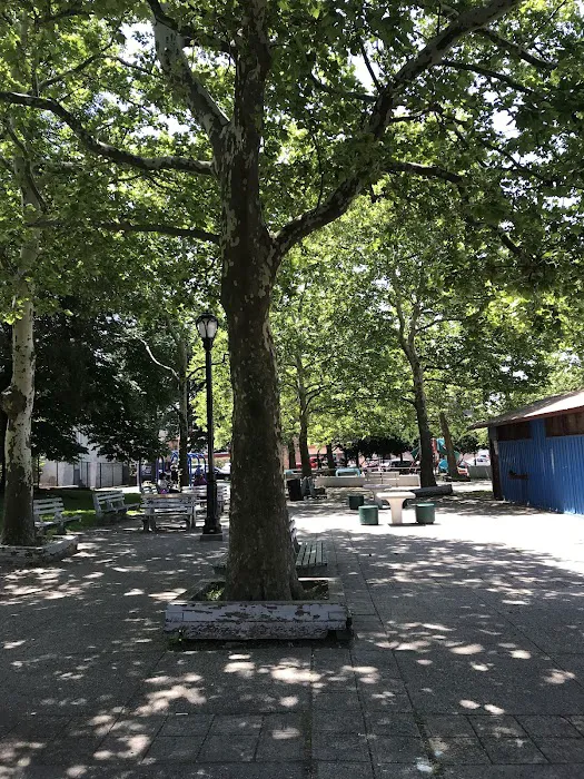 Francis G. Fitzpatrick Park Picture 9