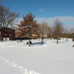 Halecky-IMTT Park