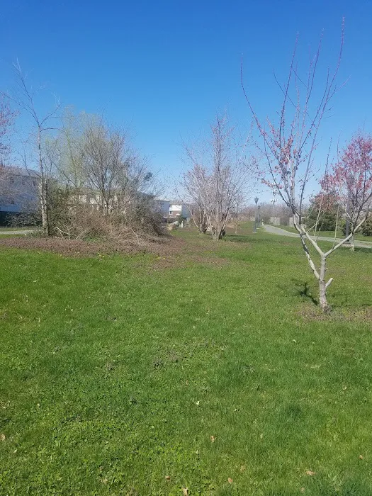 Halecky-IMTT Park Picture 4