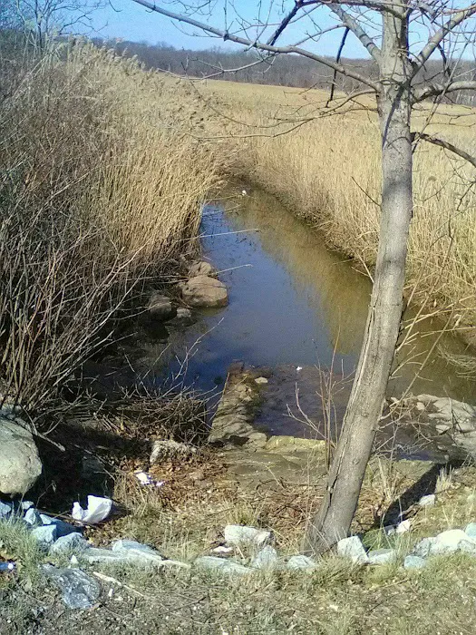 New Springville Greenway Picture 4