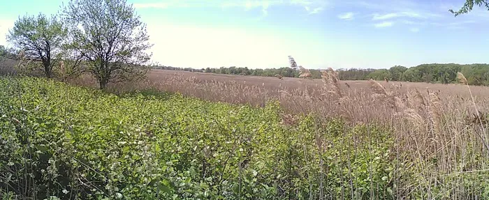 New Springville Greenway Picture 1