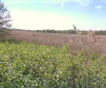 New Springville Greenway