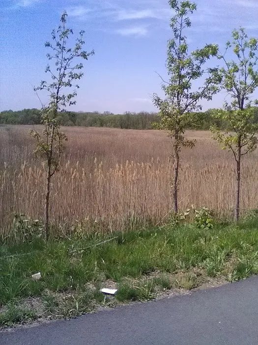 New Springville Greenway Picture 6