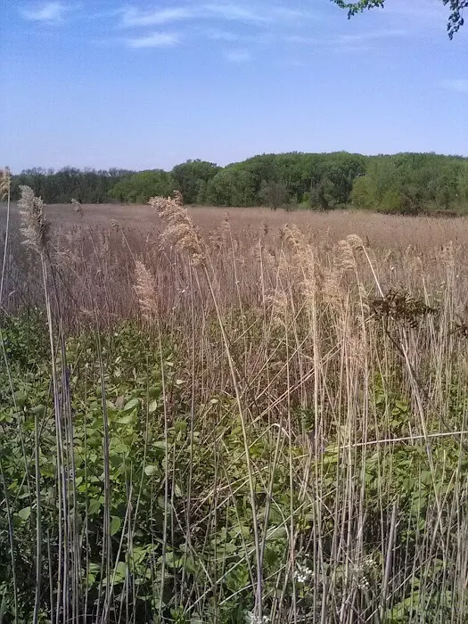 New Springville Greenway Picture 7