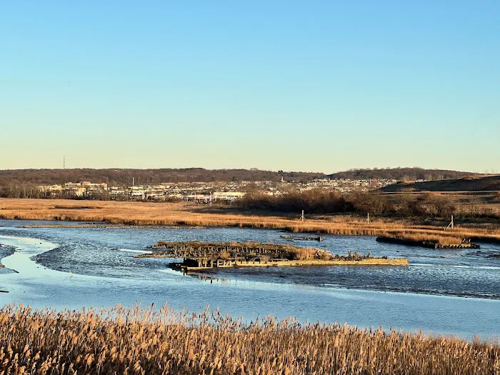 Freshkills Park Birdwatching Tower Picture 6