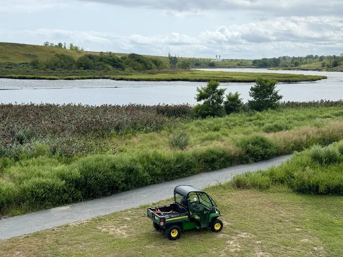 Freshkills Park Birdwatching Tower Picture 1