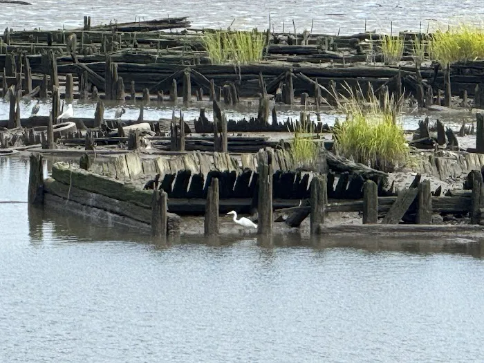 Freshkills Park Birdwatching Tower Picture 4