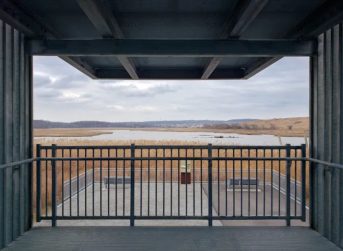 Freshkills Park Birdwatching Tower Picture 2