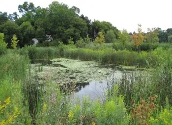 Meredith Woods Picture 1
