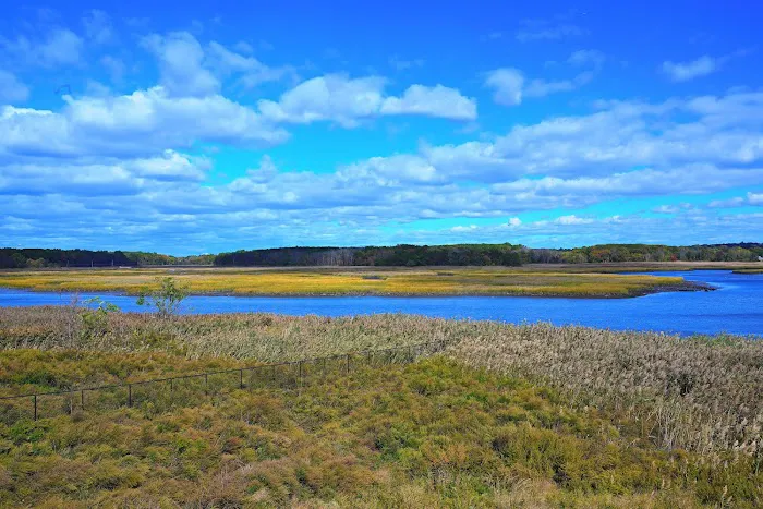 Freshkills Park Picture 1