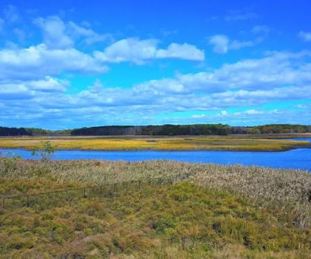 Freshkills Park