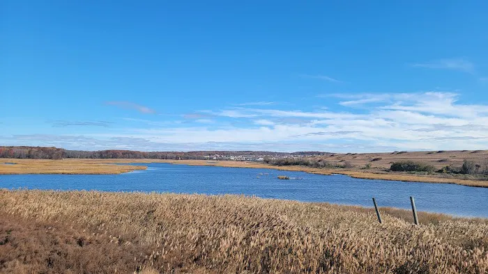 Freshkills Park Picture 9