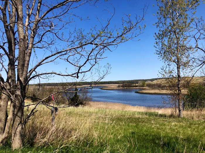 Freshkills Park Picture 5