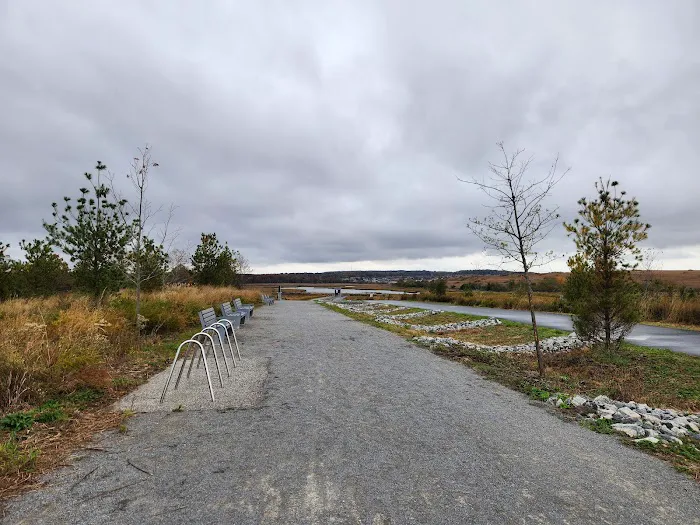 Freshkills Park Picture 10