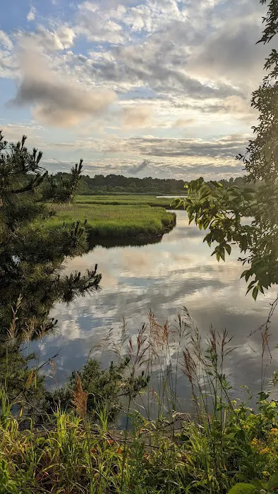 Freshkills Park Picture 8