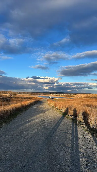 Freshkills Park Picture 6