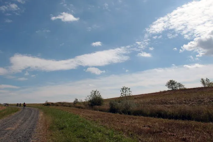 Freshkills Park Picture 4