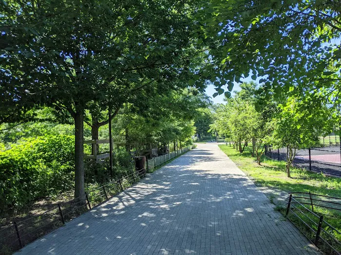 Schmul Park Picture 7