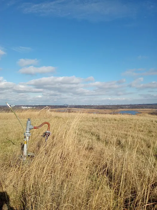 Freshkills Park (North Mound) Picture 10