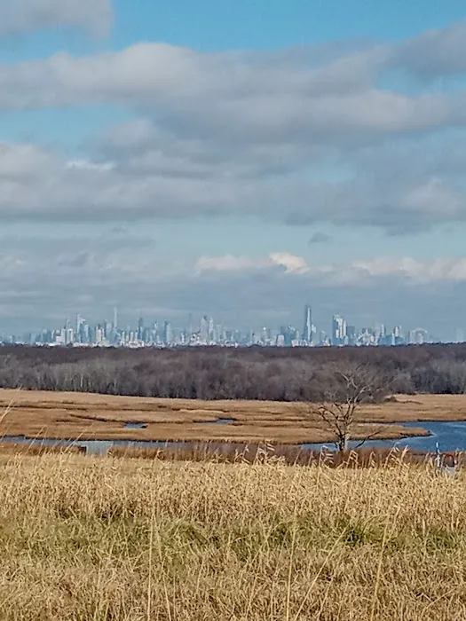 Freshkills Park (North Mound) Picture 9