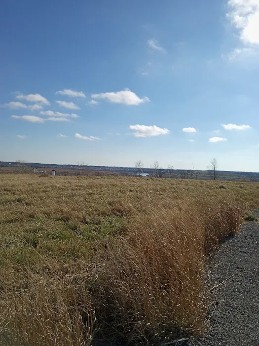 Freshkills Park (North Mound) Picture 7