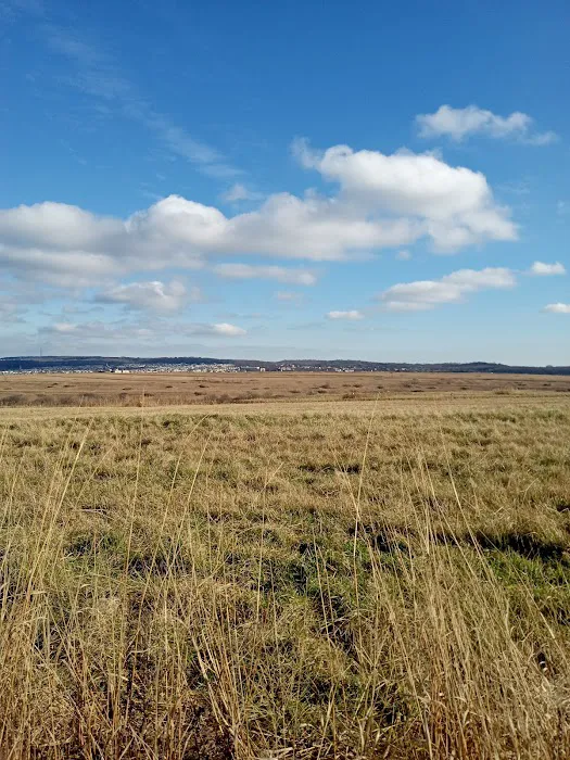 Freshkills Park (North Mound) Picture 5