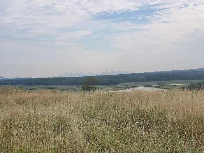 Freshkills Park (North Mound) Picture 3