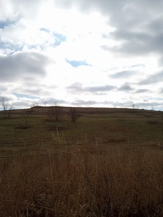 Freshkills Park (North Mound) Picture 1