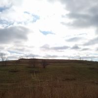 Freshkills Park (North Mound) ico