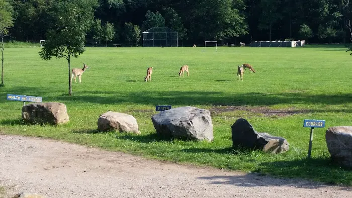 Pouch Camporee Field Picture 8
