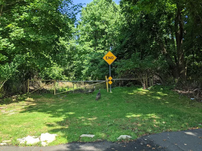 Todt Hill-Staten Island High Point Picture 6