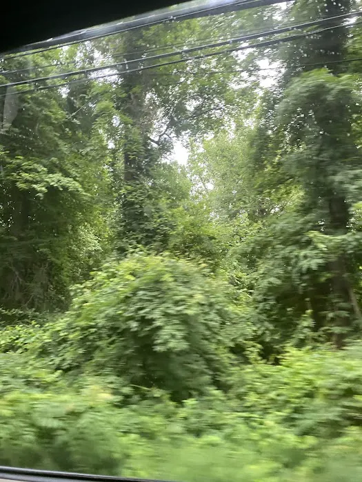 Todt Hill-Staten Island High Point Picture 7