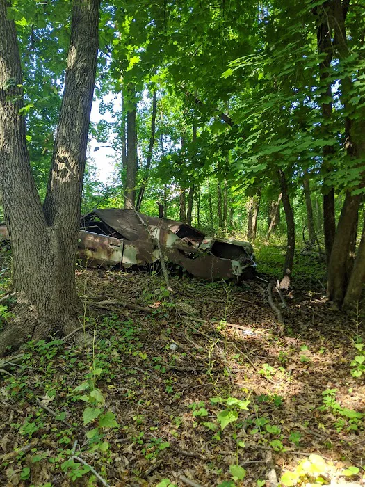 Todt Hill-Staten Island High Point Picture 5