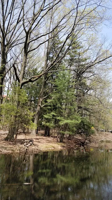 Saint Francis woodlands Picture 4