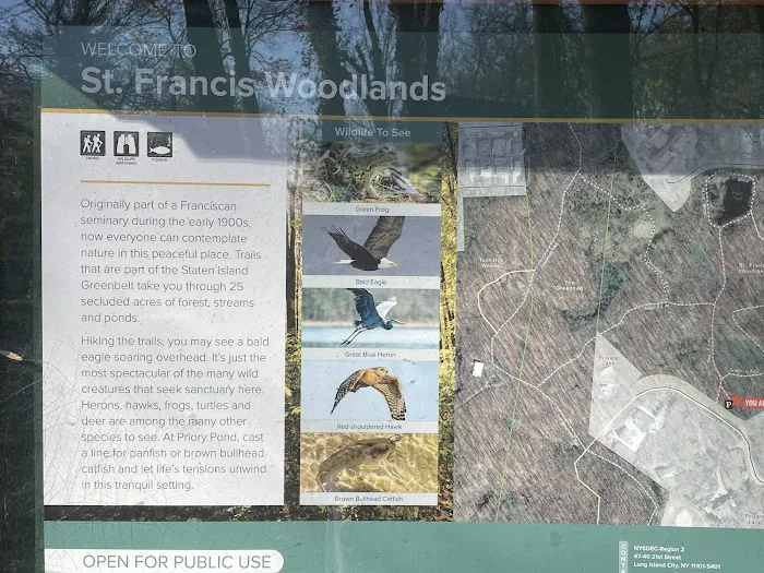 Saint Francis woodlands Picture 9