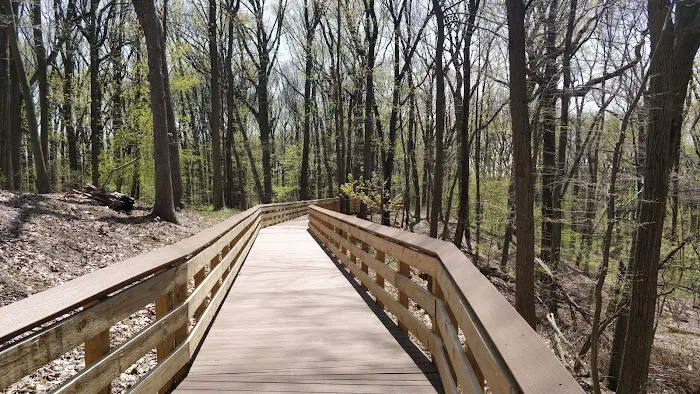 Saint Francis woodlands Picture 5