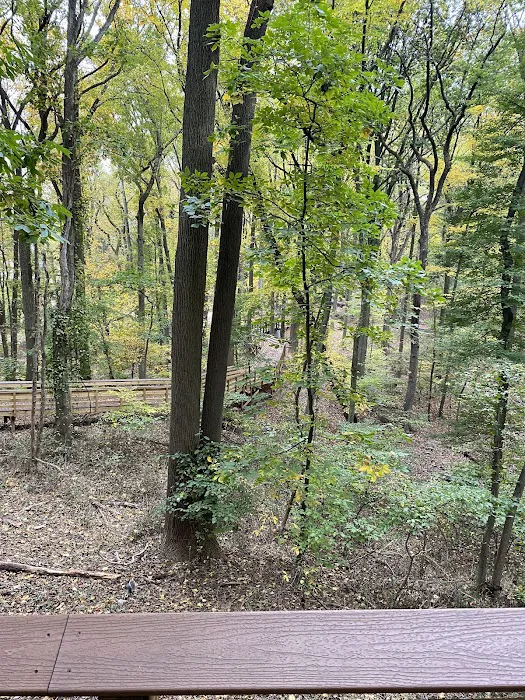 Saint Francis woodlands Picture 1