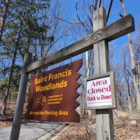 Saint Francis Woodlands ico