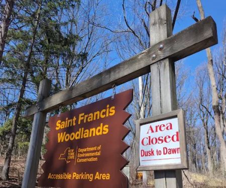 Saint Francis Woodlands