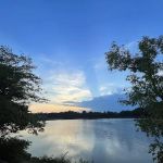 Silver Lake Dog Run