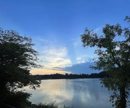 Silver Lake Dog Run
