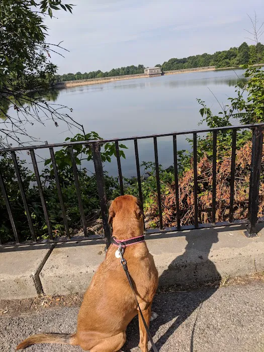 Silver Lake Park Picture 9