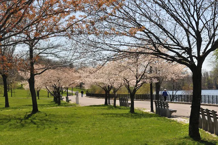Silver Lake Park Picture 4