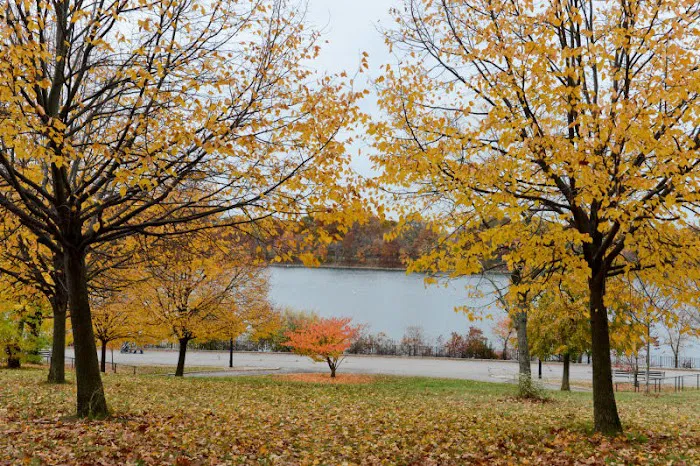 Silver Lake Park Picture 1